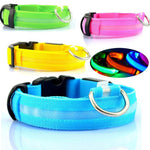 Nylon LED Dog Collar