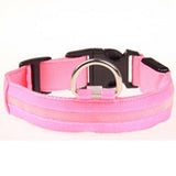 Nylon LED Dog Collar