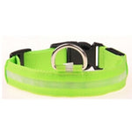 Nylon LED Dog Collar