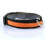 Nylon LED Pet Dog Collar