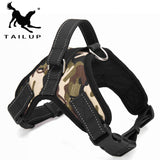 Pet Products for Large Dog Collar