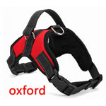 Pet Products for Large Dog Collar