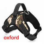 Pet Products for Large Dog Collar