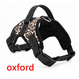 Pet Products for Large Dog Collar