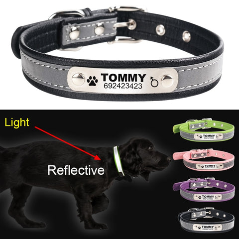 Engraved Dog Collar