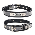 Engraved Dog Collar