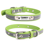 Engraved Dog Collar