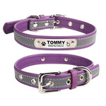 Engraved Dog Collar