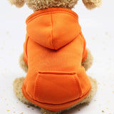 Autumn Winter Pet Dog