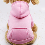 Autumn Winter Pet Dog