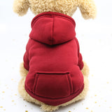 Autumn Winter Pet Dog