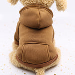 Autumn Winter Pet Dog