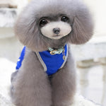 Autumn Winter Pet Dog