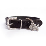 Pet Dog Collar