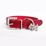 Pet Dog Collar