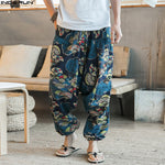 New Hip Hop Aladdin Hmong Pants