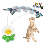 Cat Electric Rotating Toy