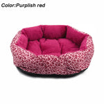 Pet Cat and Dog Bed