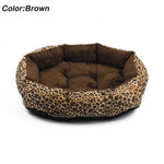 Pet Cat and Dog Bed