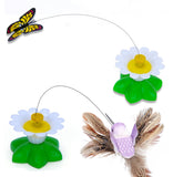 Cat Toys bird Pet