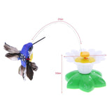 Cat Toys bird Pet