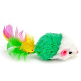 Cat Toys bird Pet