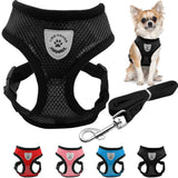 Breathable Mesh Small Dog