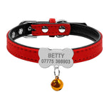 Personalized Dog Collars