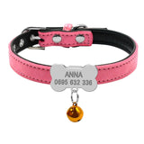 Personalized Dog Collars